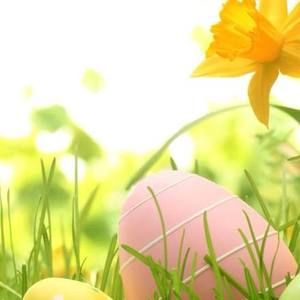 Meet your Posher, Fran